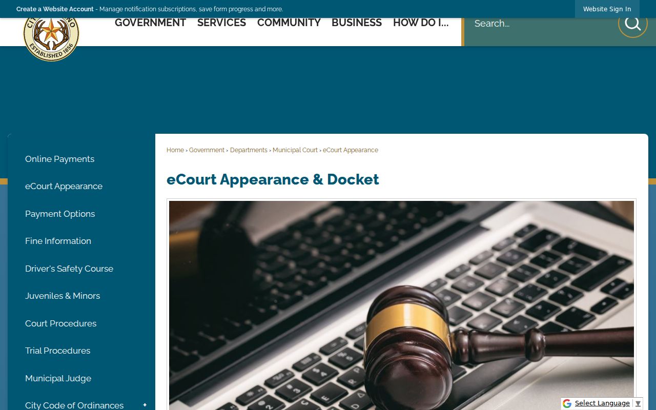 Llano municipal criminal record eCourt calendar